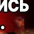 СРОЧНО ЧАПЛЫГА БЬЁТ ТРЕВОГУ Обратный отсчет НАЧАЛСЯ САМОЛЁТ СУДНОГО ДНЯ ПОДНЯТ ГОТОВЯТ МИНСК 3
