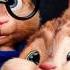 Adele Hello Alvin And The Chipmunks Version