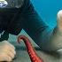 I Sent A Micro Camera Down 100 Holes On The Ocean Floor