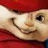YALiLi CHIPMUNKS 2019