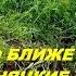 Качая мускулы Лопатой Упоротые шурфуисты часть 2