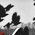 Pensees Dreaveler