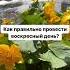Что делать в воскресенье