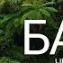 Бали 2025 что посмотреть Маршрут и полезная информация Bali 2025 Itinerary And Tips