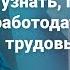 Как узнать грозят ли работодателю трудовые проверки в 2025 году RosCoConsulting