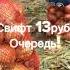 Купить лук оптом с поля 79789777788 Олег