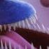 Its Party Line Joe Jonas Topic Sesame Street RaveDJ