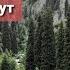 Ущелье Алма арасан Relax за 5 минут