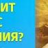 Как происходит процесс пробуждения в Трансерфинге Фрагмент вебинара Этапы пробуждения