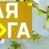 Выпуск 36 История заставок программы Главная дорога