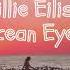 Billy Eilish Ocean Eyes 1 Hour Loop