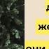 Как ВИЗУАЛИЗИРОВАТЬ желания чтобы они СБЫВАЛИСЬ Рекомендации клинического психолога