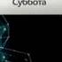 Первый канал 2011 Оформление День космонавтики