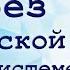 О мужчинах ниже пояса мочеполовая система мужчины