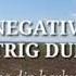 Negativ Ton Fată La Tine Strig După Ajutor Amira