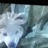 Alpha And Omega Grab My Tail Scene