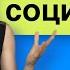 Структура социологии направления и теоретические аспекты Введение в социологические теории