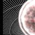 The Scale Of The Universe The Quantum World