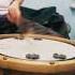 Drums Дельфин Я люблю людей