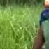 20140606 090019 Mp4