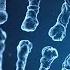 The Human Genome Project Patented Our Genes