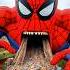 Evolution Of Spider Man Avengers Marvel Marvel Avengers Spiderman