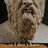 Plato Vs Aristotle Who Is Right