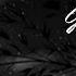 Asif Meherremov Gece Gece Slowed Version