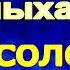 Неслыханная крысоловка Клод Фаррер читает Павел Беседин