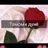 Ҷон Медони ба андозаи чашм мн туро дуст медорам ҷон