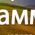 Путь Пророка Мухаммада салляЛлаху алейхи ва саллям Тулкын хазрат