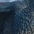 DRAGON Games Of Throne Music Epic Score Liberators Epic Powerful Hybrid Action