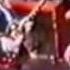George Harrison Gary Moore While Their Guitars Gently Weeps