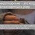 Черный юмор 6