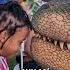 Esta Niña No Tenía Miedo Del Gran Dinosaurio Shorts Curiosidades
