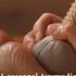 Ayurvedha Treatment Mp4