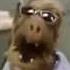 Альф а дальше все как в тумане Alf Singing Old Time Rock And Roll