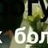 Кайсарым