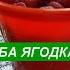 45 баба ягодка опять