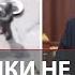 Армия России продолжает вытеснять ВСУ Все ждут разговор Путина и Трампа Хроника СВО