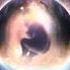 Really Slow Motion Reborn From Ashes