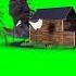 Green Screen Home Crash Greenscreen Shorts