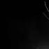 Isaac Chambers Feat Ruby Rose Mulcahy Extra Tea Rest Y All Original Mix Mp4