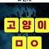 가장 유명한 동물 속담 3단계 초성 퀴즈