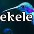 Narekele Mo Lyrics