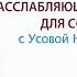 Успокаивающий массаж для собак