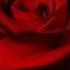 Secret Garden Passacaglia