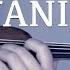 David Guetta Sia Titanium For Violin And Piano COVER