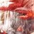 Foreground Eclipse Fall Of Tears