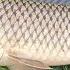 Carp Fishing PARACHUTE BUCKET BONDUEL AND THIS IS IT
